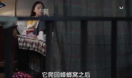 姐姐爆料的视频在哪看,姐姐爆料视频观看指南，独家渠道带你一探究竟！