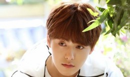 娱乐圈爆料客马天宇,揭秘明星背后的故事